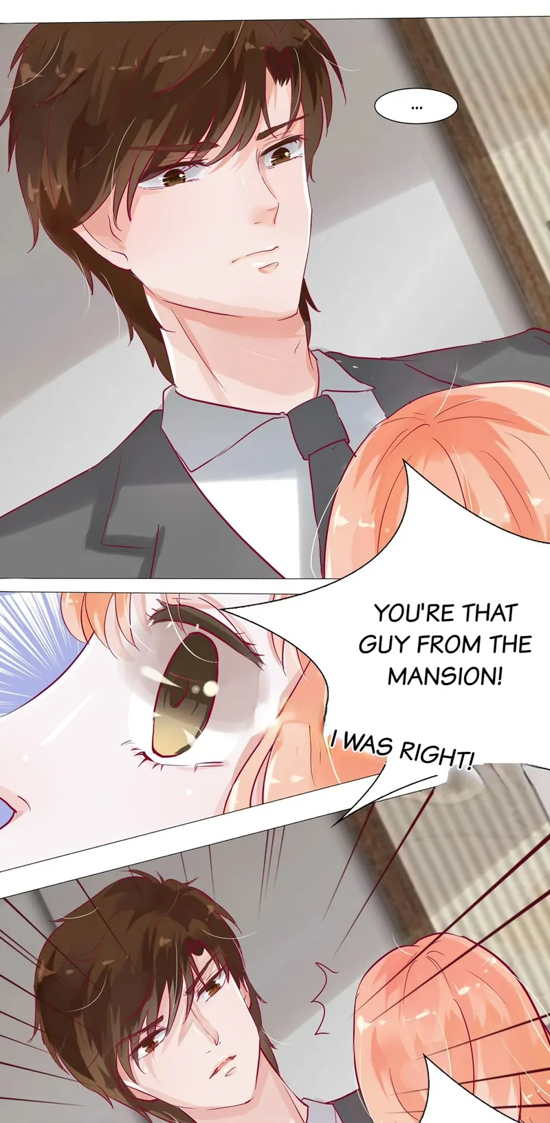 The Chairman Is in Love With Two of Me Chapter 9 - page 10