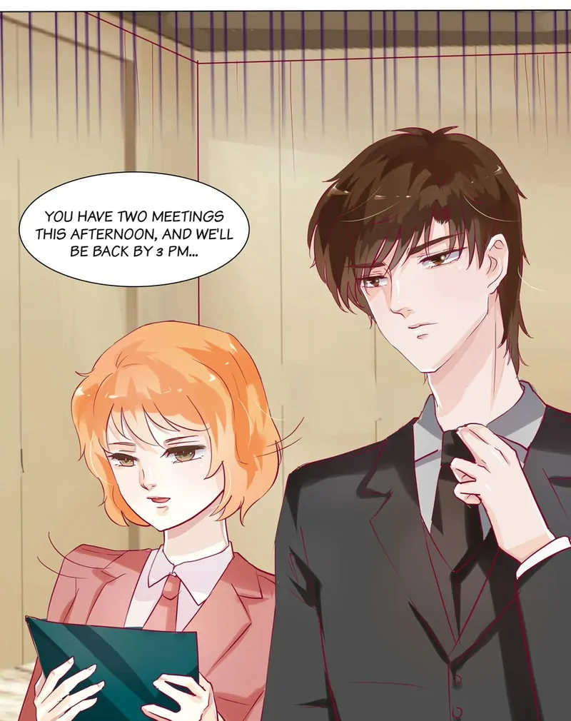 The Chairman Is in Love With Two of Me Chapter 9 - page 5