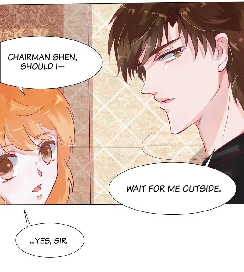 The Chairman Is in Love With Two of Me Chapter 11 - page 20