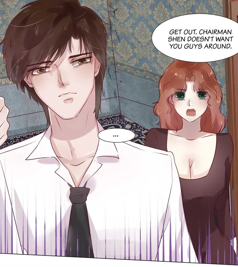 The Chairman Is in Love With Two of Me Chapter 14 - page 15