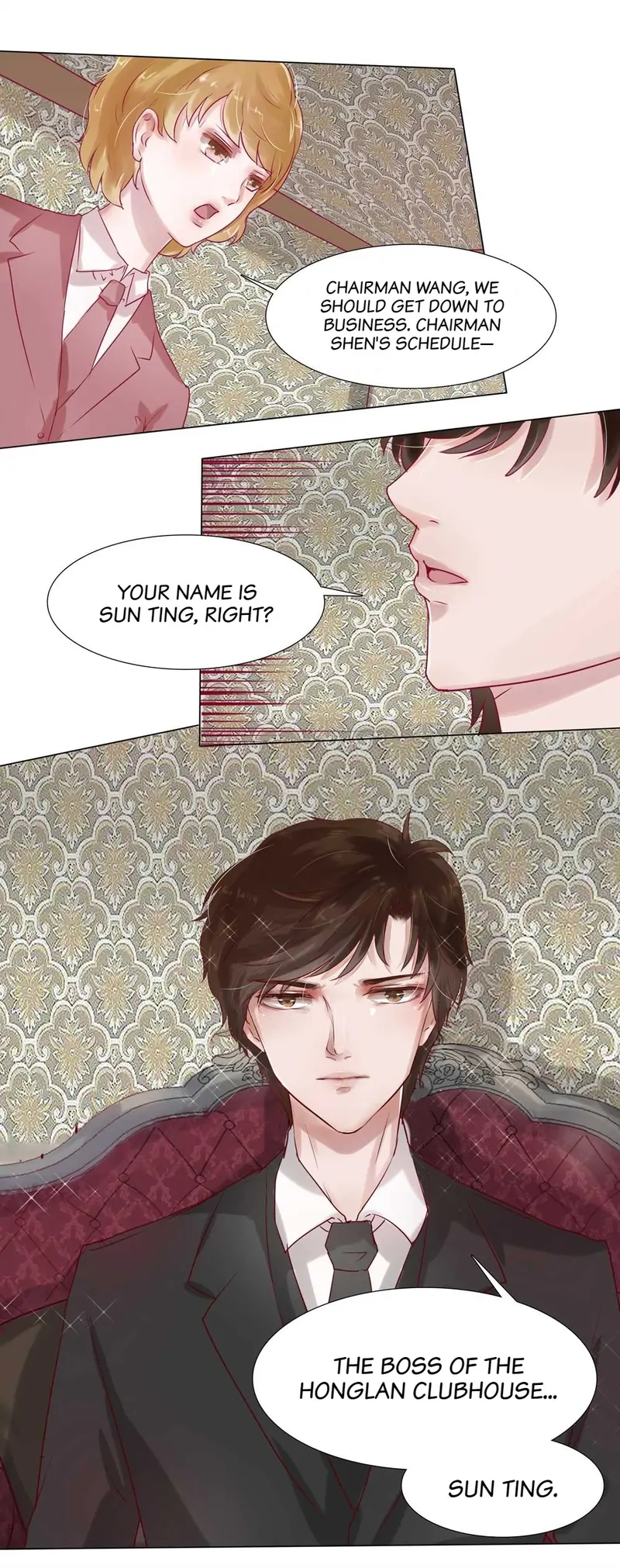 The Chairman Is in Love With Two of Me Chapter 14 - page 8