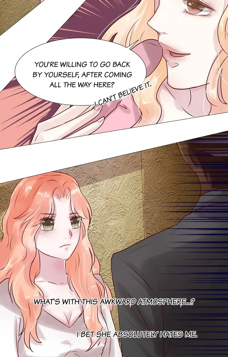 The Chairman Is in Love With Two of Me Chapter 17 - page 17