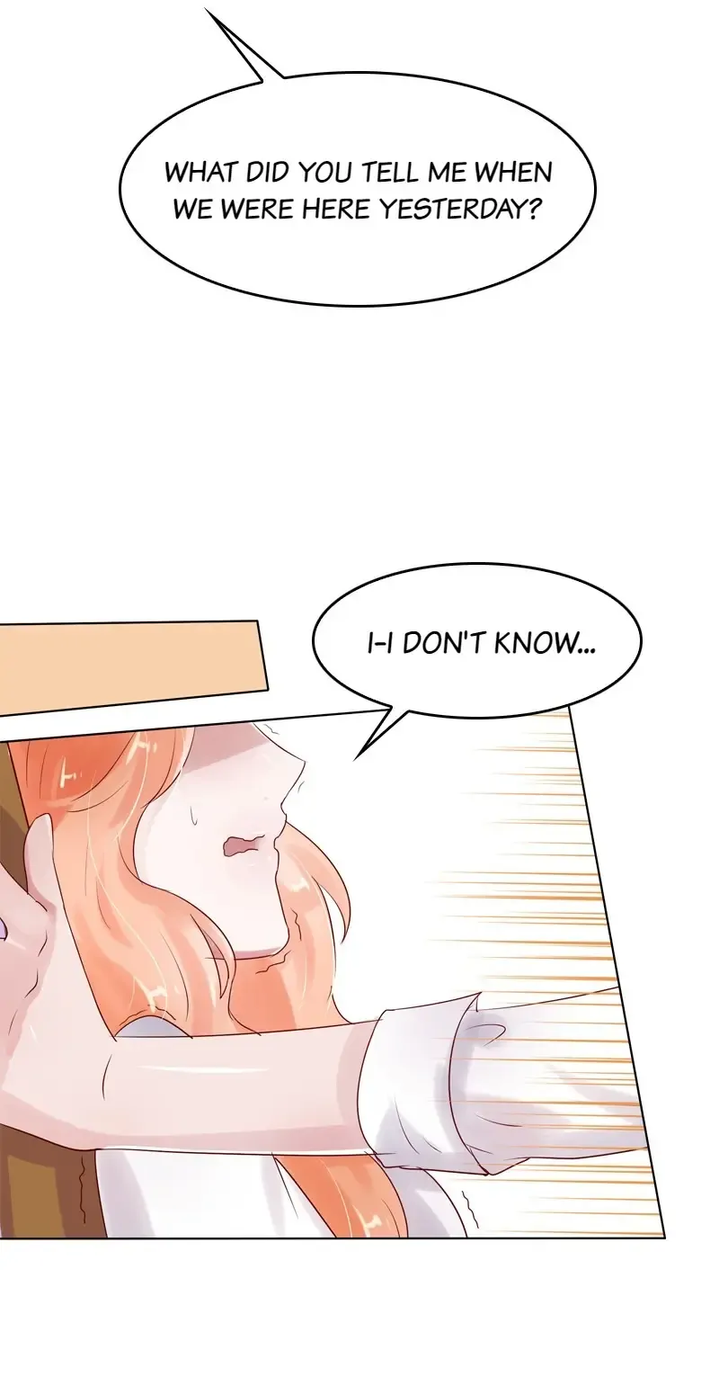 The Chairman Is in Love With Two of Me Chapter 18 - page 17