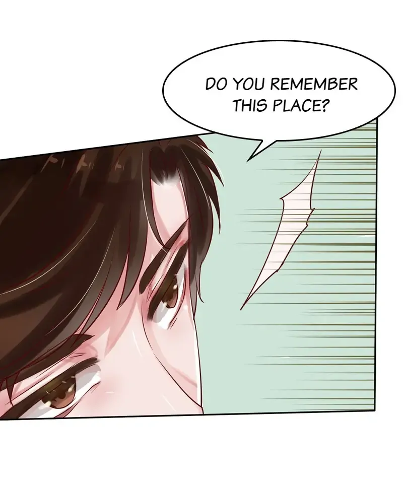 The Chairman Is in Love With Two of Me Chapter 18 - page 25