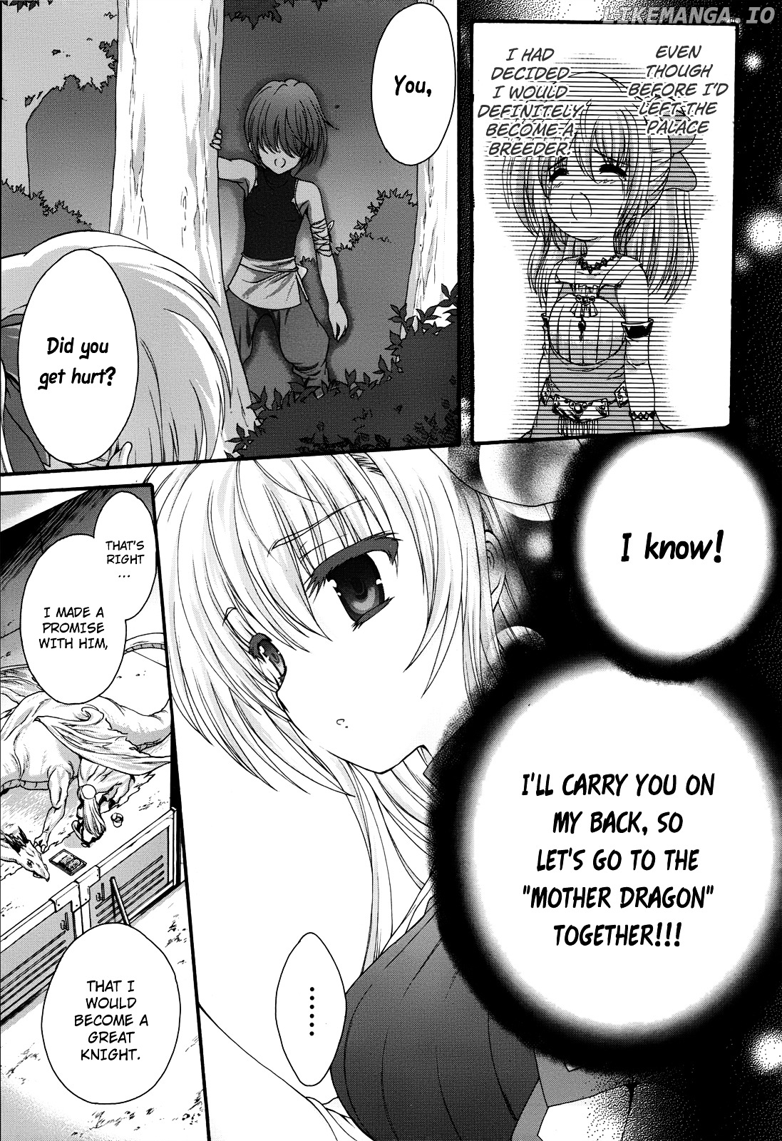 Seikoku No Ryuu Kishi chapter 5 - page 5
