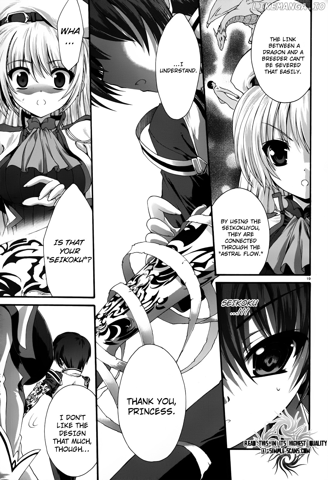 Seikoku No Ryuu Kishi chapter 3 - page 21