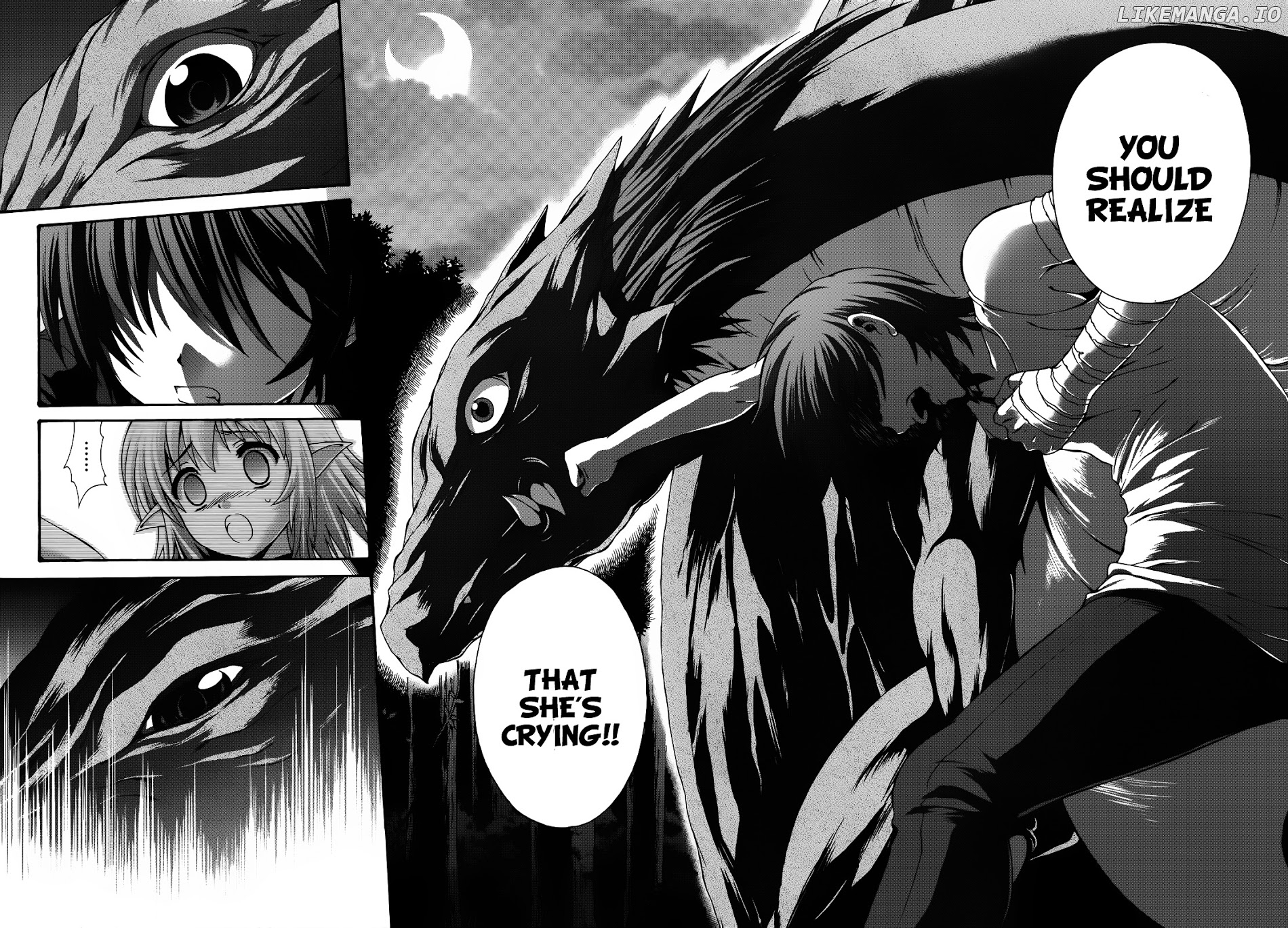 Seikoku No Ryuu Kishi chapter 19 - page 27