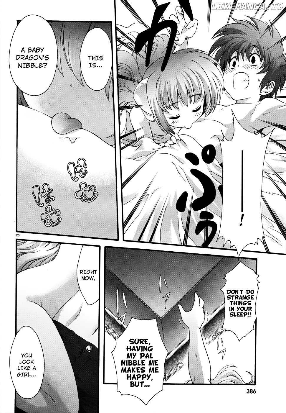 Seikoku No Ryuu Kishi chapter 2 - page 28