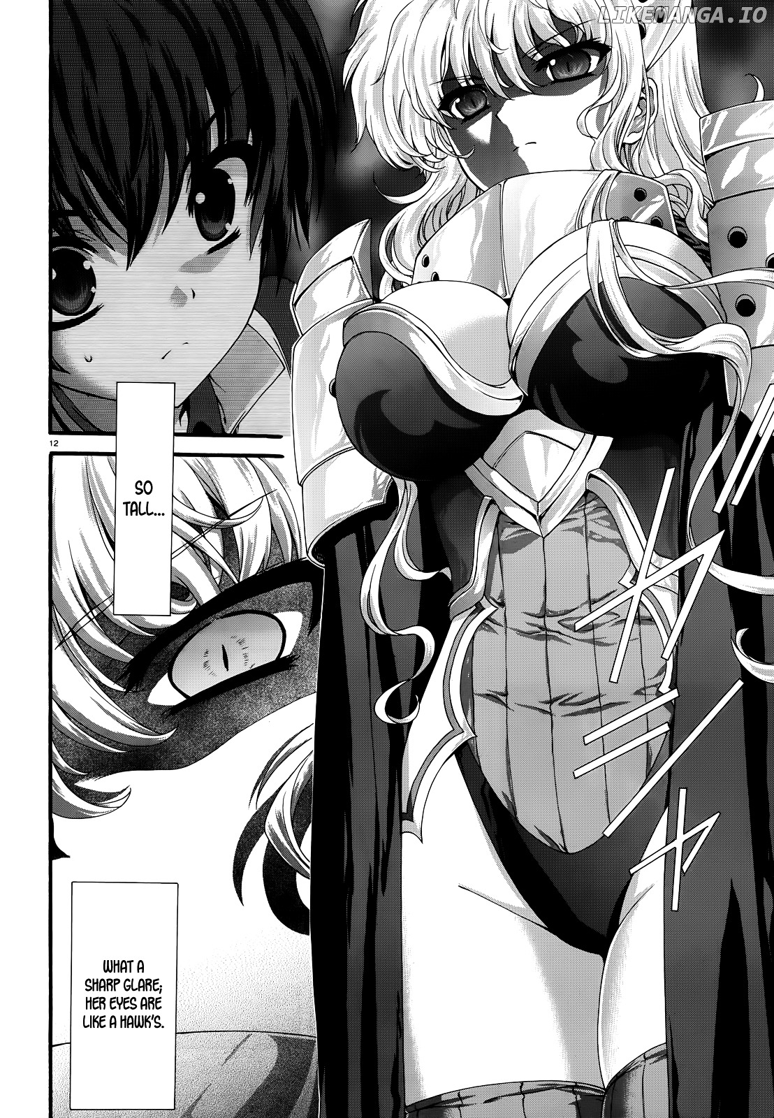 Seikoku No Ryuu Kishi chapter 9 - page 11