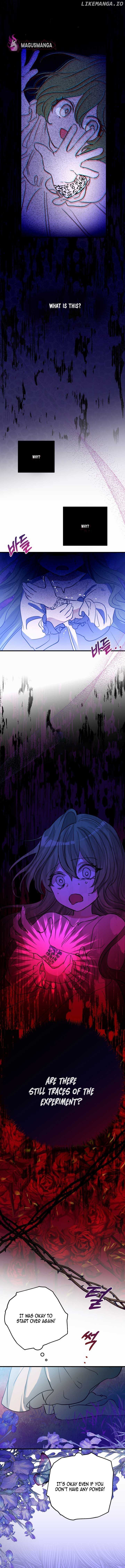 I Became the Contract Daughter of the soon-to-be-ruined Family Chapter 2 - page 3