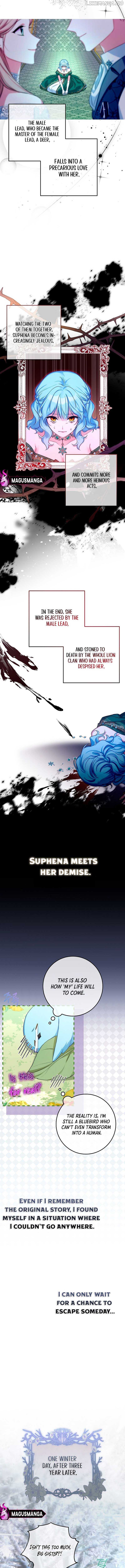 Bluebird Lady and The White Lion Family Chapter 1 - page 6