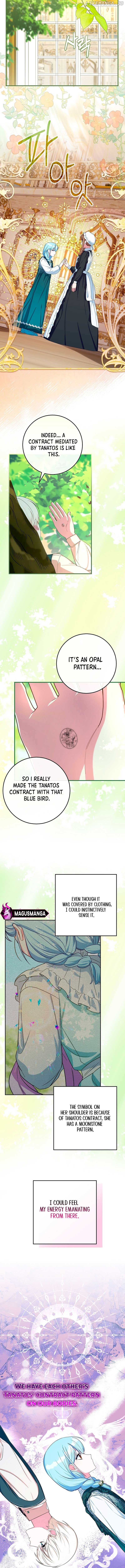 Bluebird Lady and The White Lion Family Chapter 20 - page 2