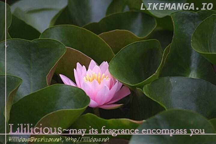 Kono Negai Ga Kanau Nara chapter 8 - page 1