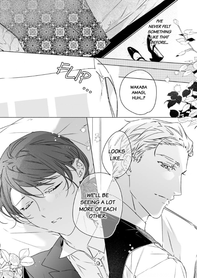Yarashi, Yarakashi, Suite Room - Hyakusenrenma no Hotel-Ou ni Hajimete, Amaku Tsumaremashita Chapter 1 - page 29