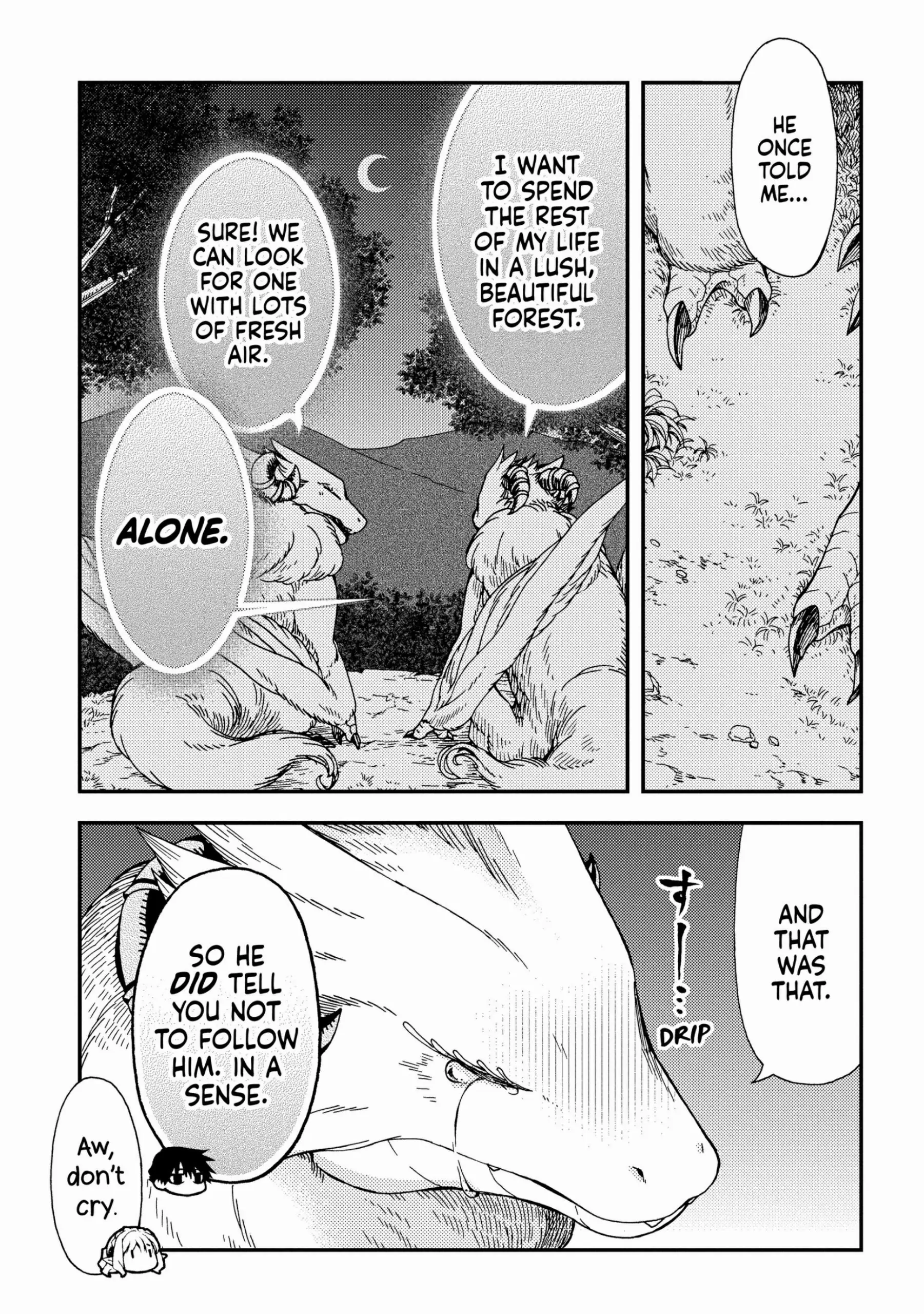 Hone Dragon no Mana Musume chapter 20 - page 19