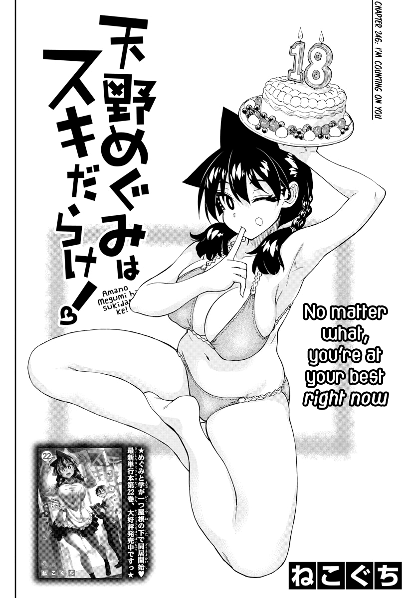 Amano Megumi wa Suki Darake! chapter 246 - page 2