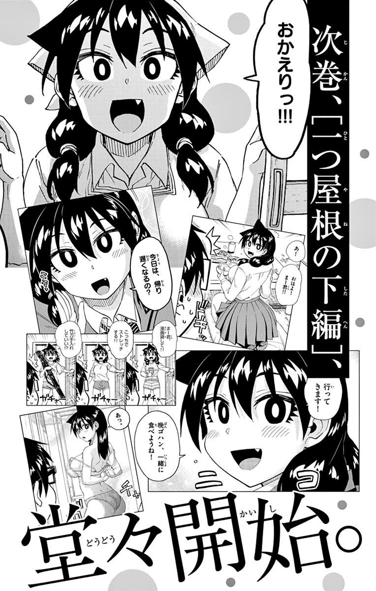 Amano Megumi wa Suki Darake! chapter 209.5 - page 30