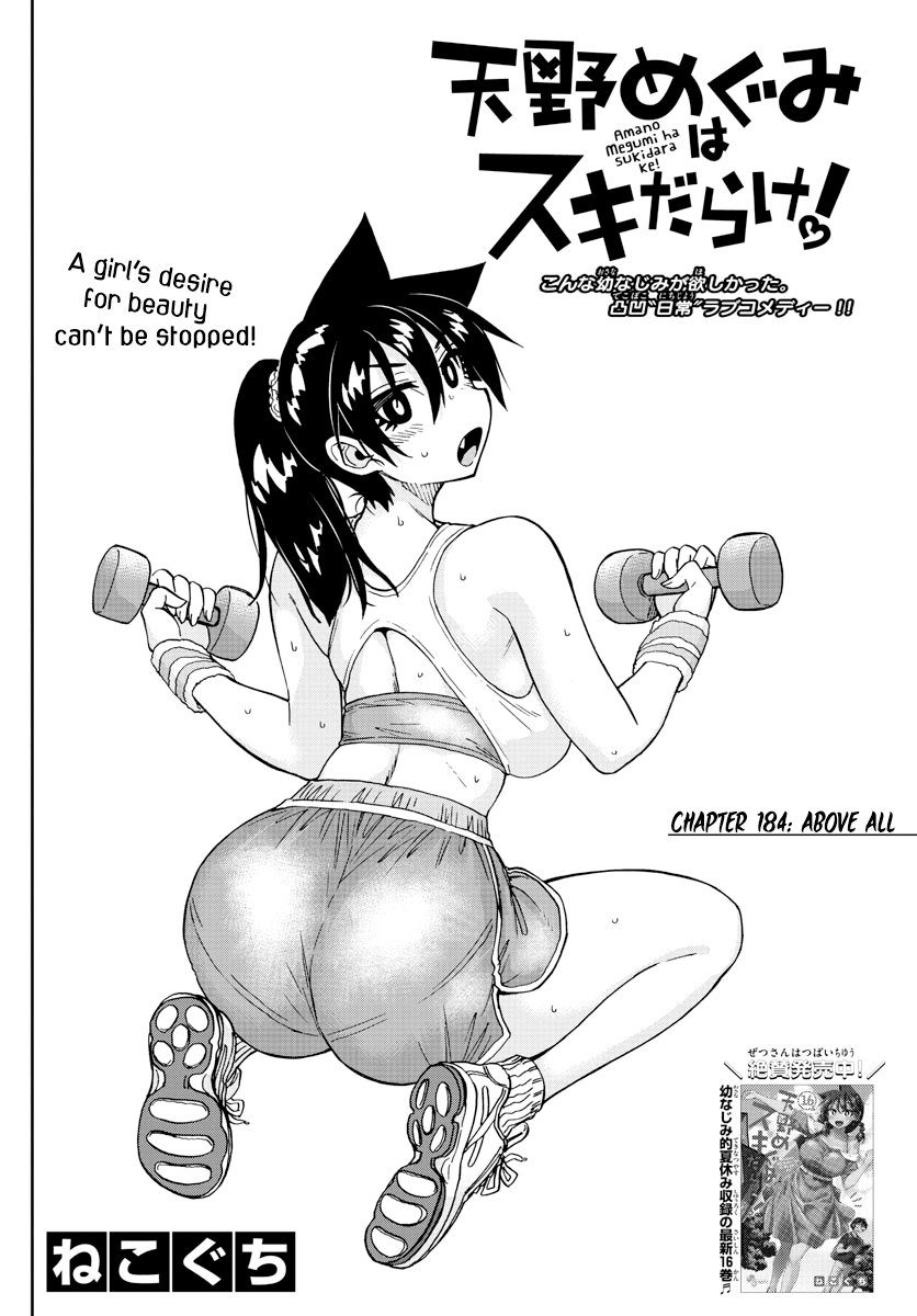 Amano Megumi wa Suki Darake! chapter 184 - page 2