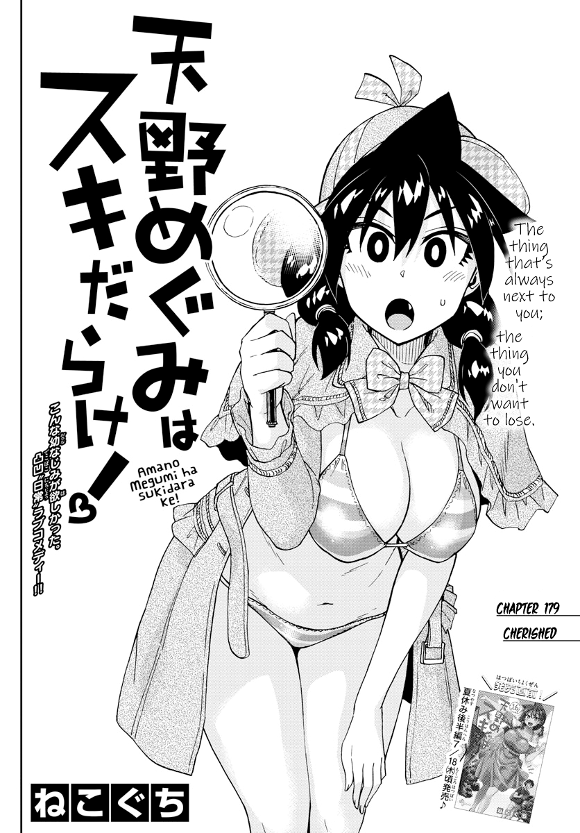Amano Megumi wa Suki Darake! chapter 179 - page 2