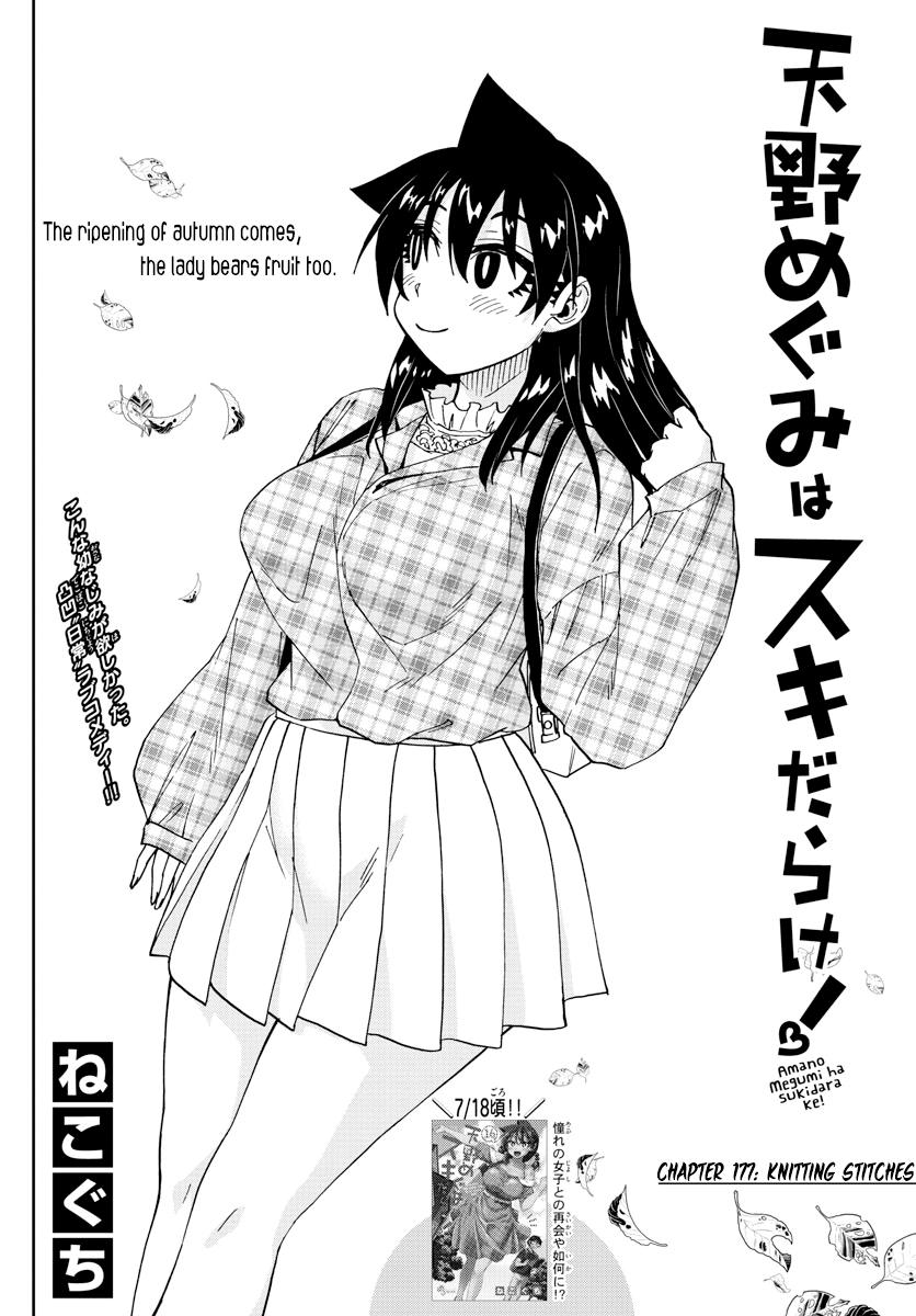 Amano Megumi wa Suki Darake! chapter 177 - page 2