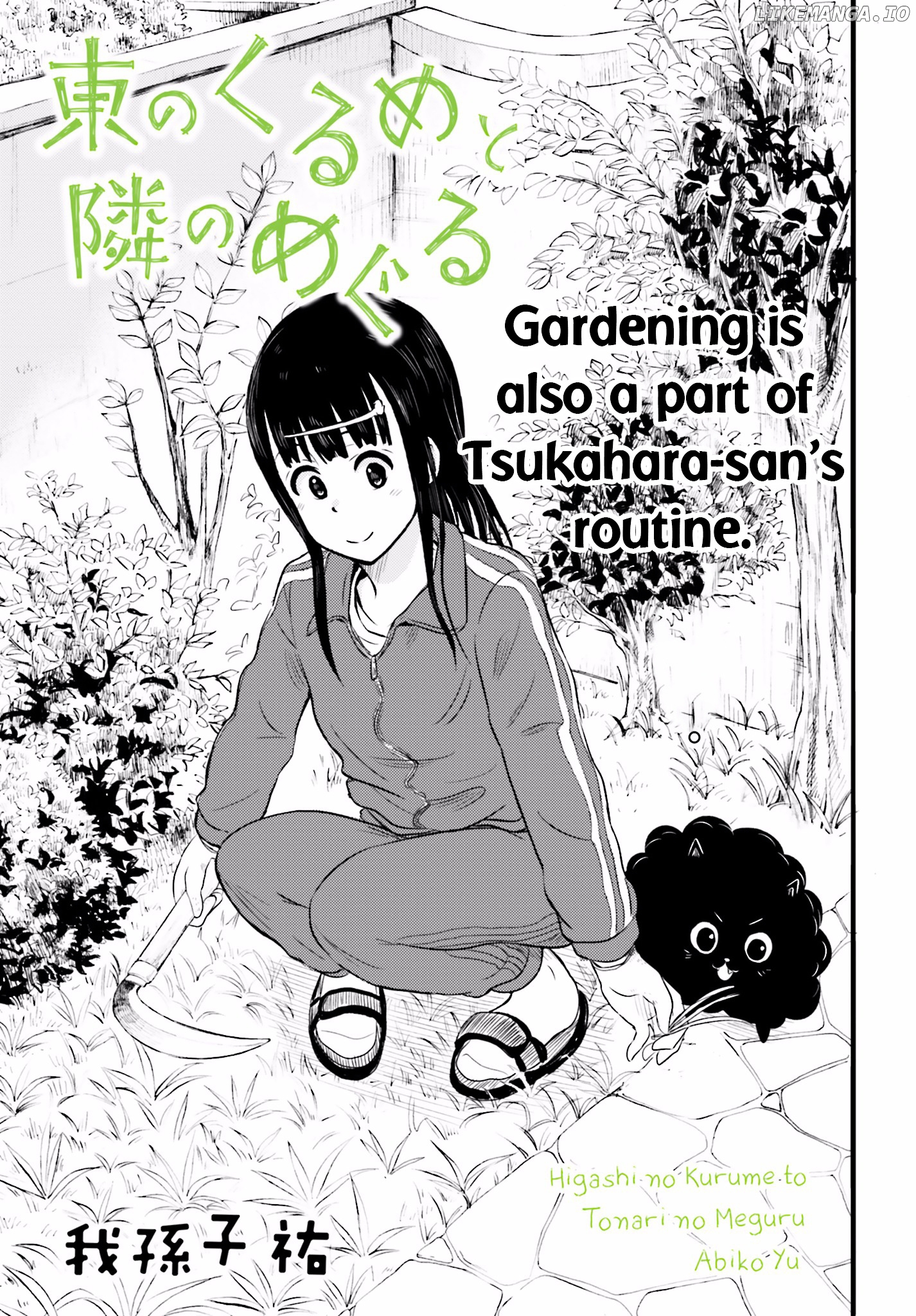 Higashi No Kurume To Tonari No Meguru chapter 15 - page 3