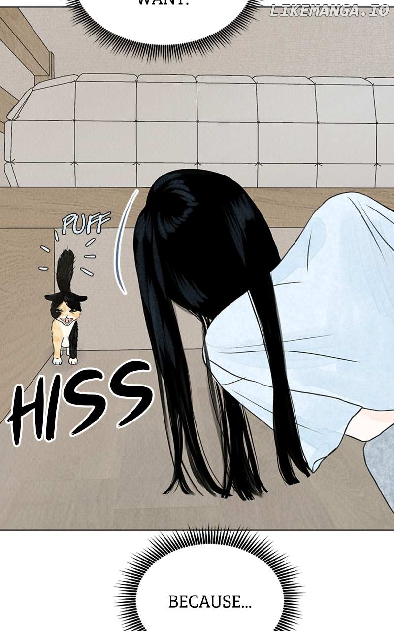 Want to See My Cat? Chapter 2 - page 24