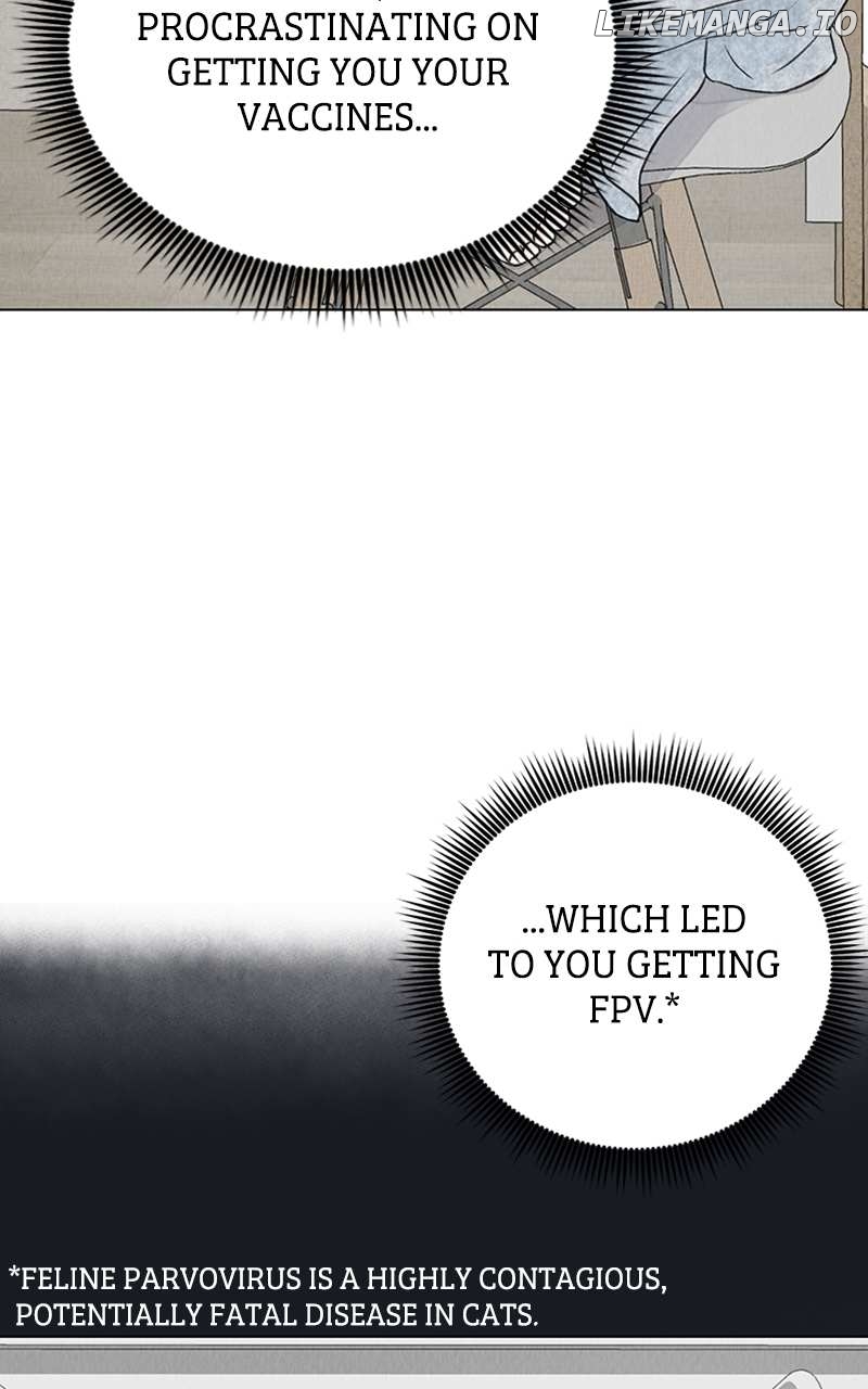 Want to See My Cat? Chapter 2 - page 29