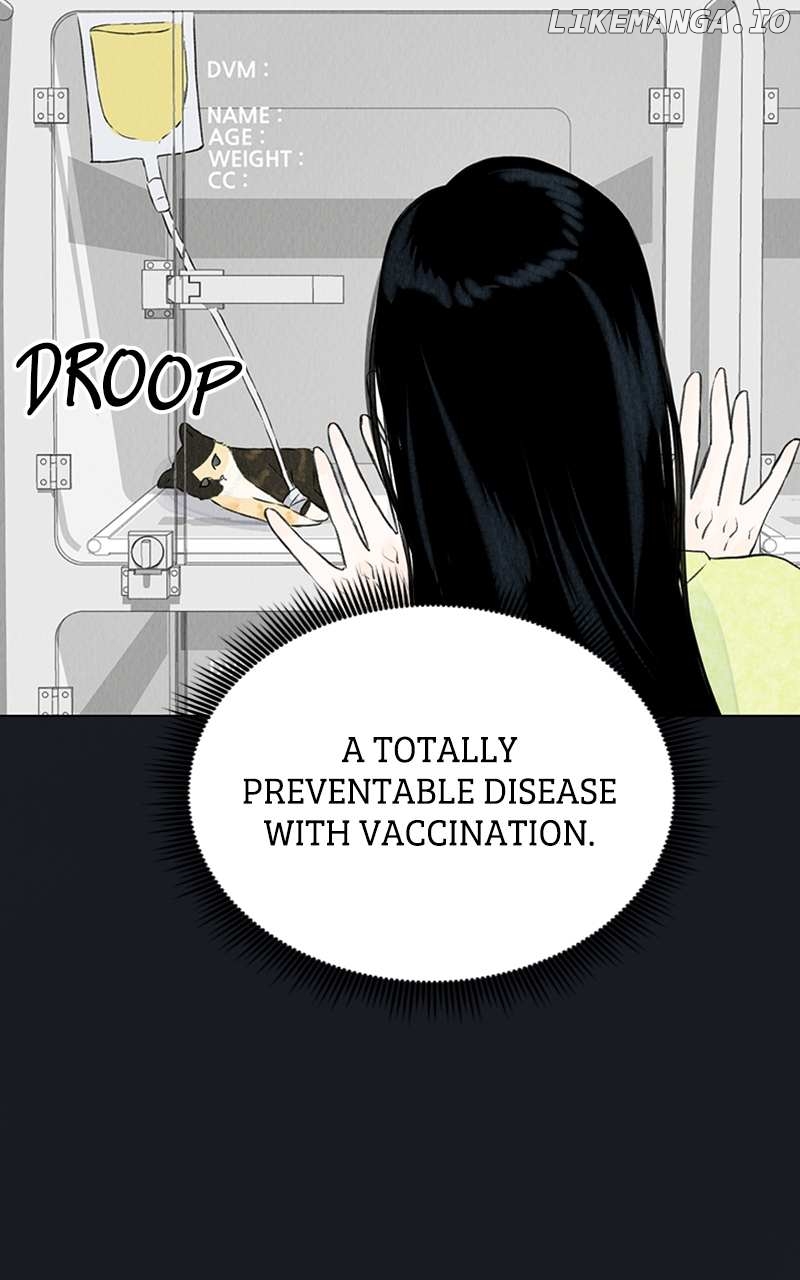 Want to See My Cat? Chapter 2 - page 30