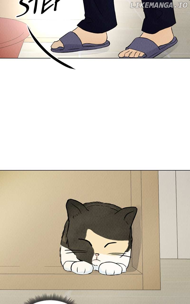 Want to See My Cat? Chapter 2 - page 3