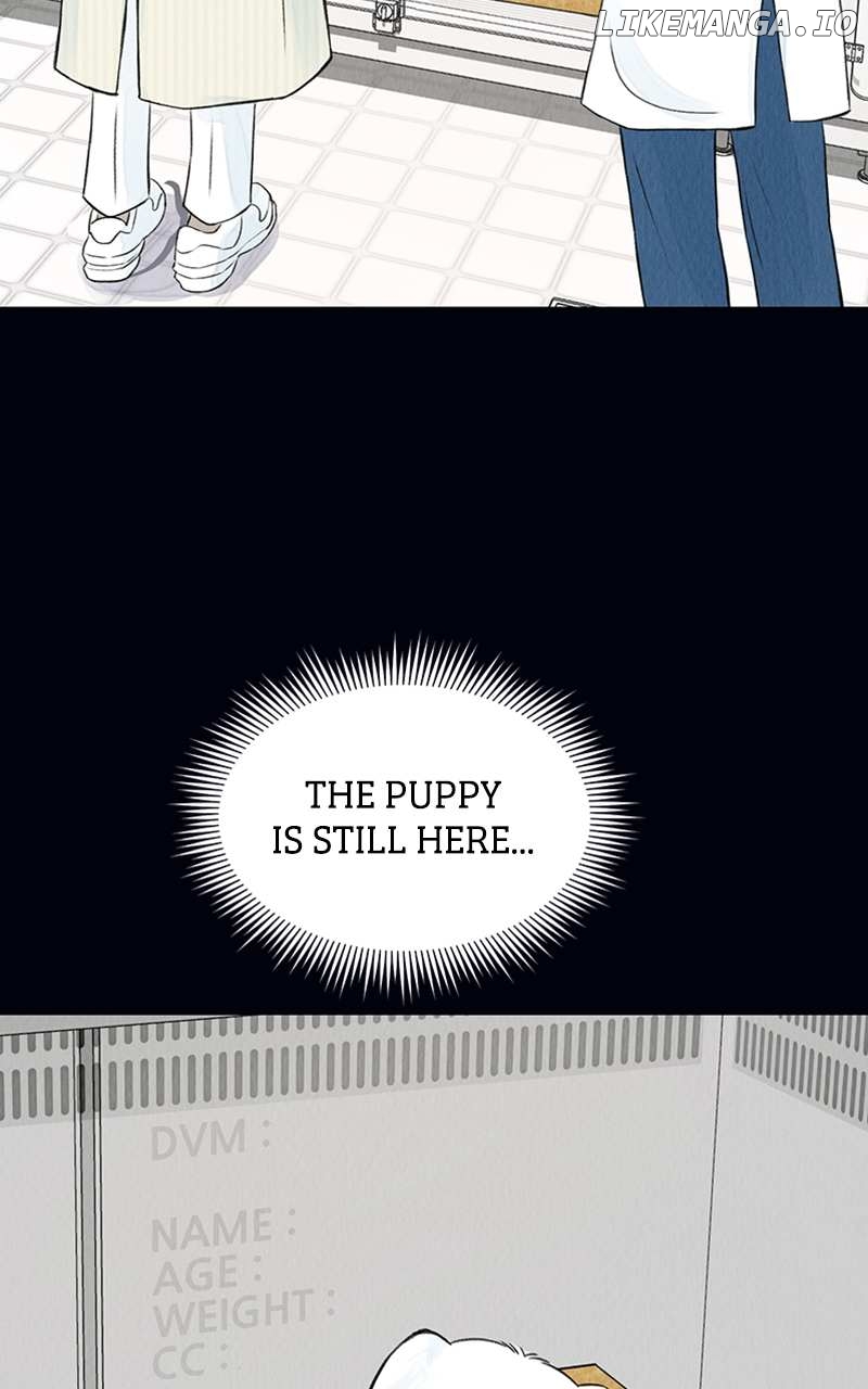 Want to See My Cat? Chapter 2 - page 47