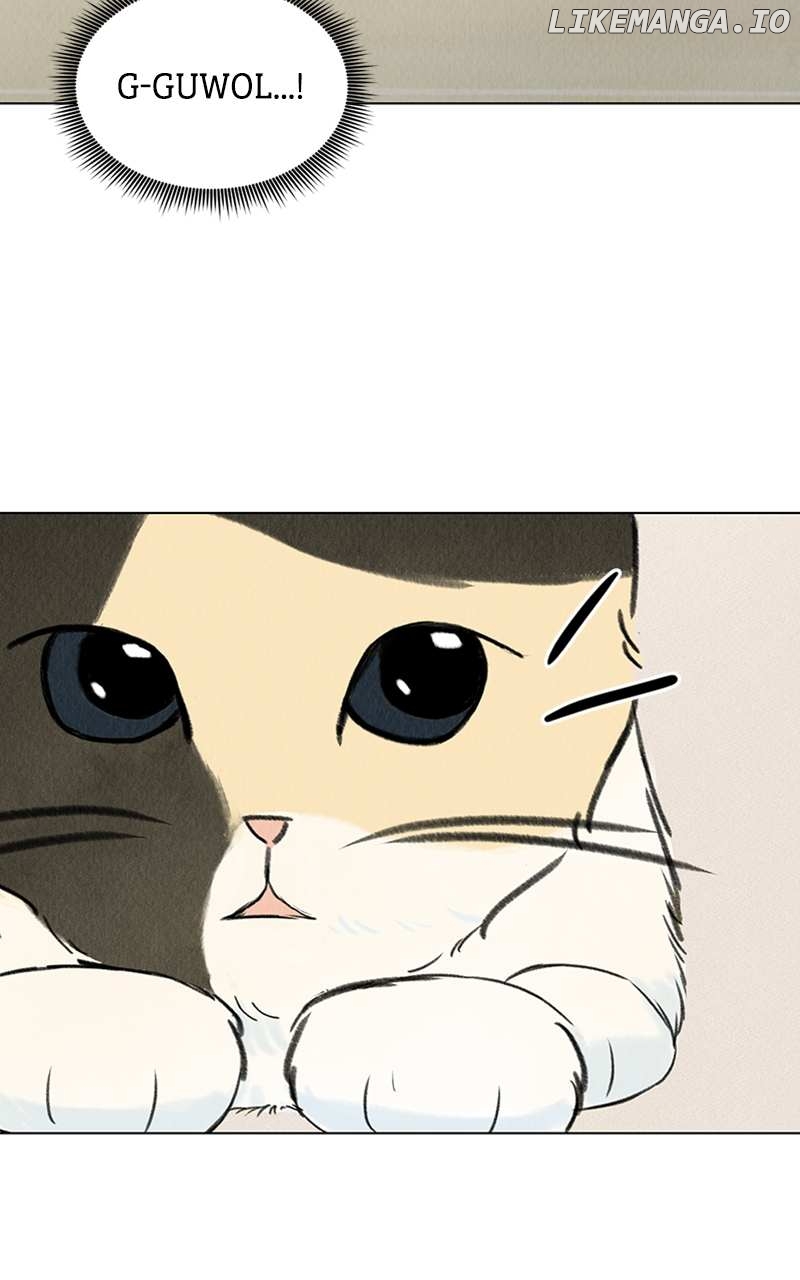 Want to See My Cat? Chapter 2 - page 4