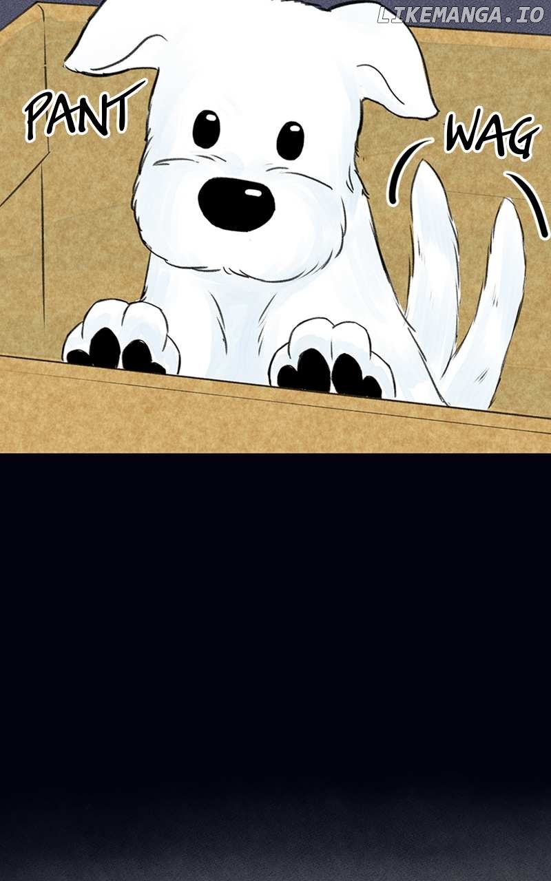 Want to See My Cat? Chapter 2 - page 57