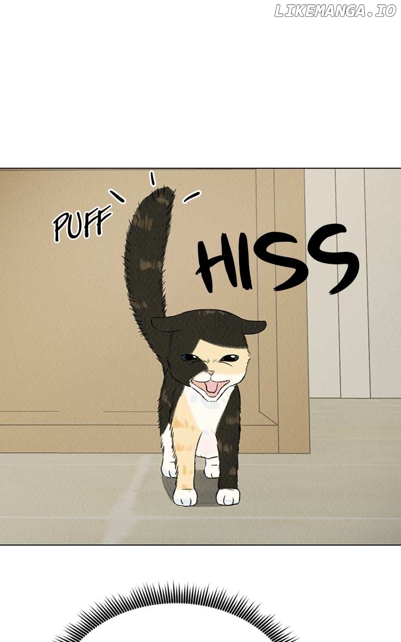 Want to See My Cat? Chapter 2 - page 5