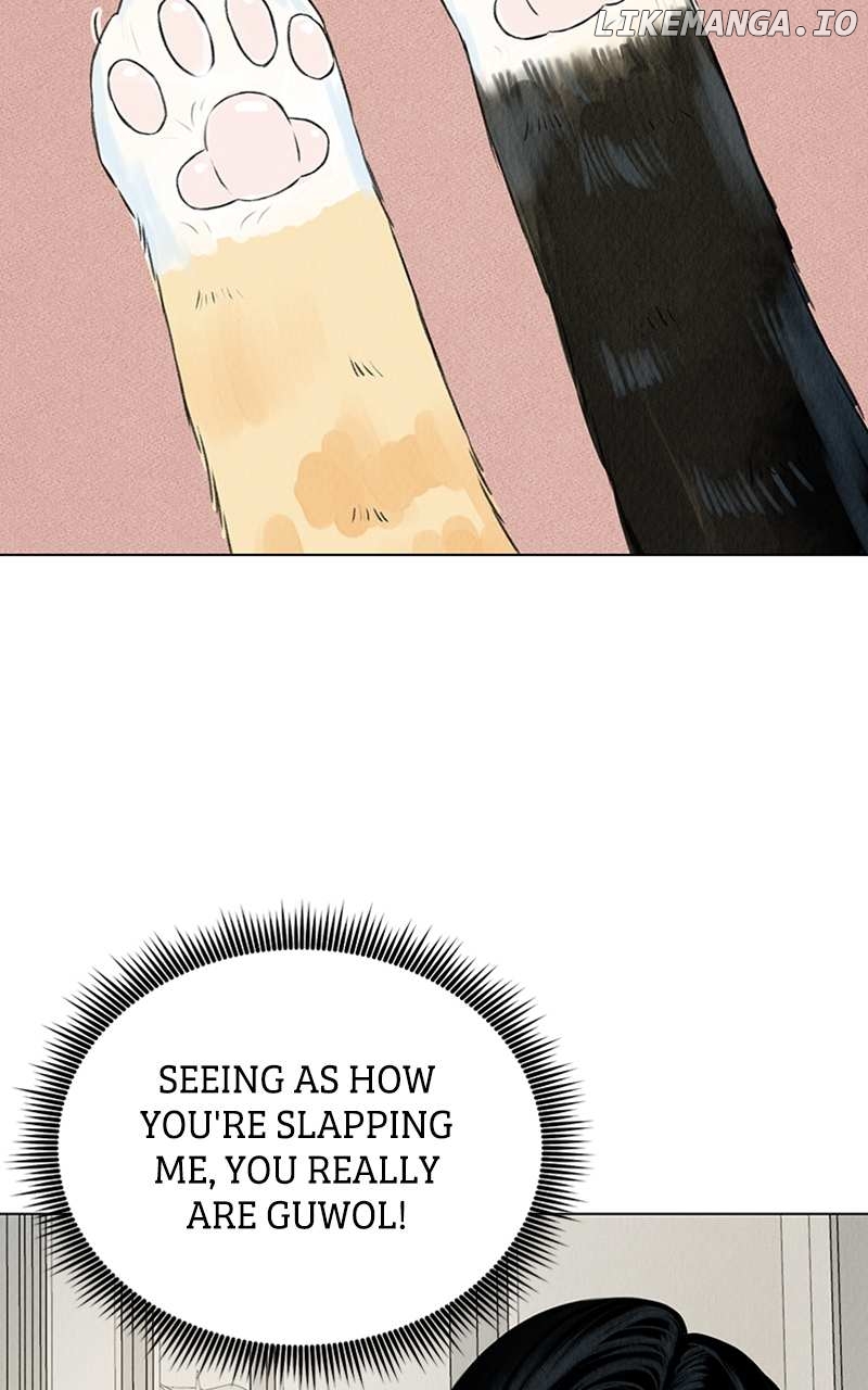 Want to See My Cat? Chapter 2 - page 8