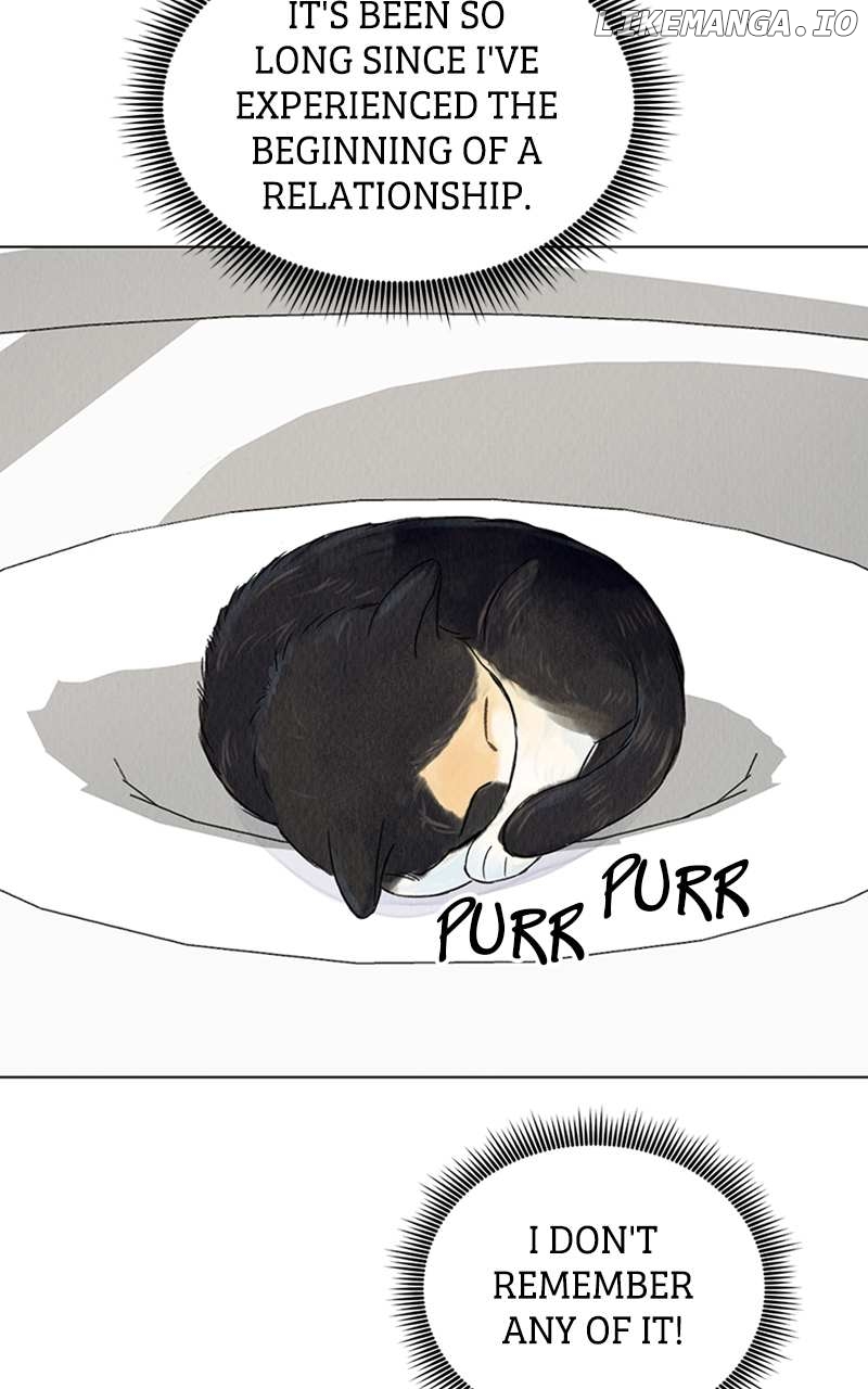 Want to See My Cat? Chapter 3 - page 4