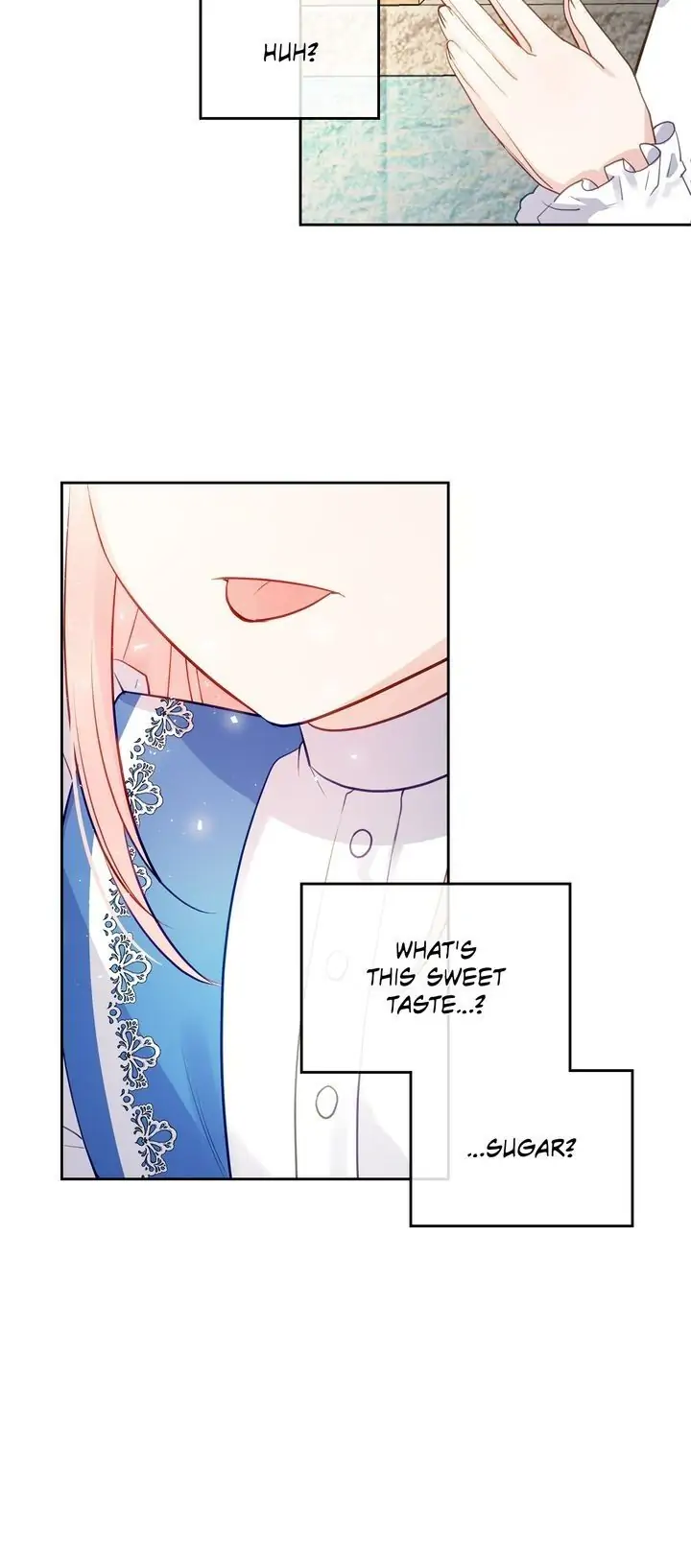 The Villainous Princess Wants to Live in a Gingerbread House Chapter 2 - page 19