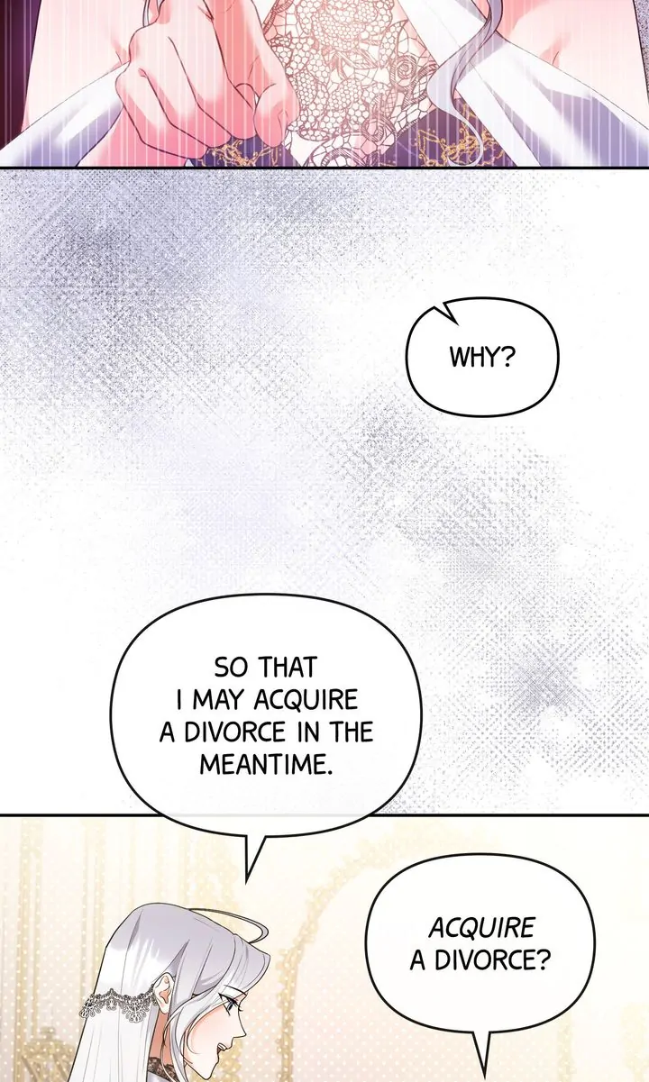 I Want to Become the Emperor, So I Need a Divorce Chapter 5 - page 48
