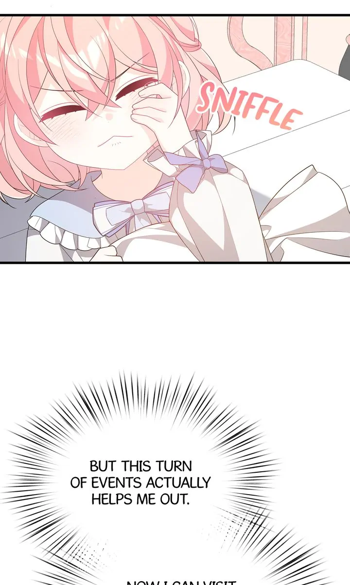 I Will Seduce The Male Lead For My Older Brother Chapter 27 - page 102