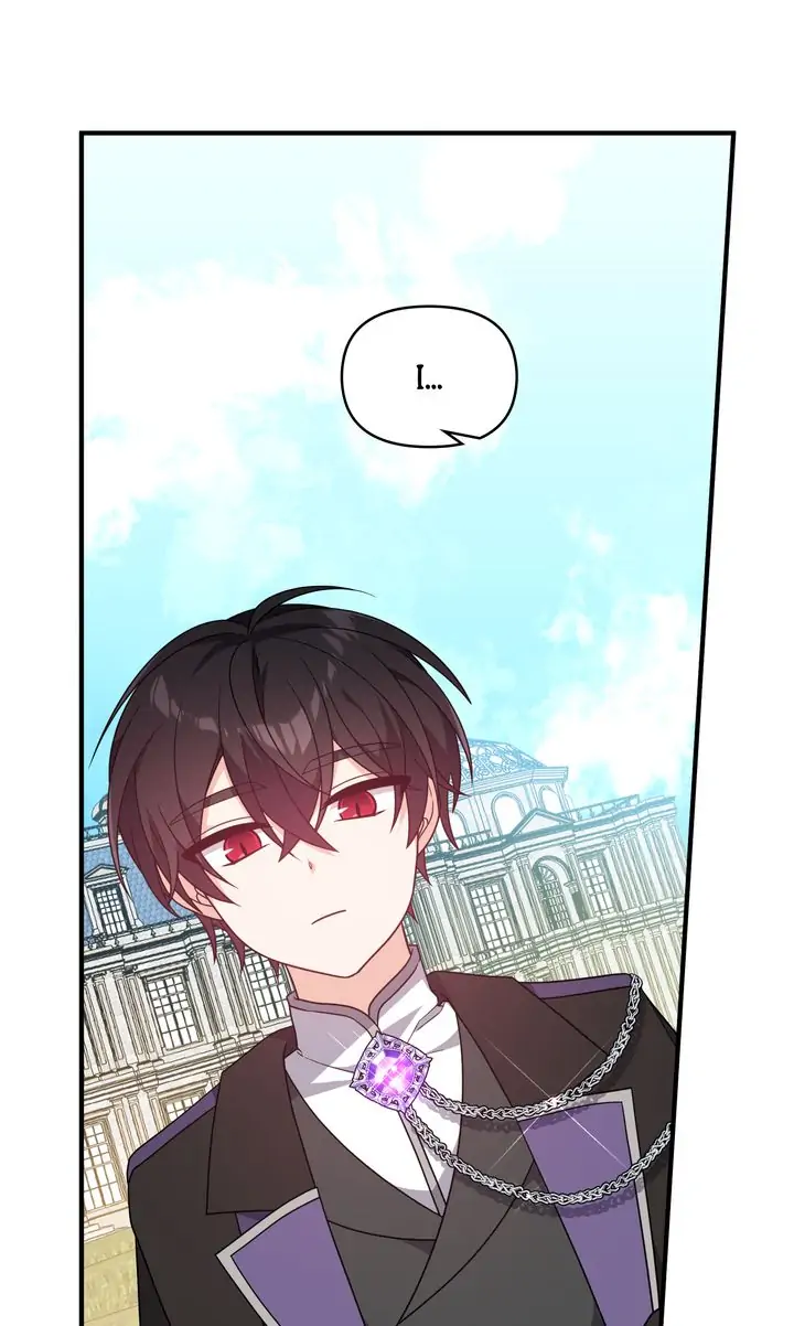 I Will Seduce The Male Lead For My Older Brother Chapter 11 - page 17