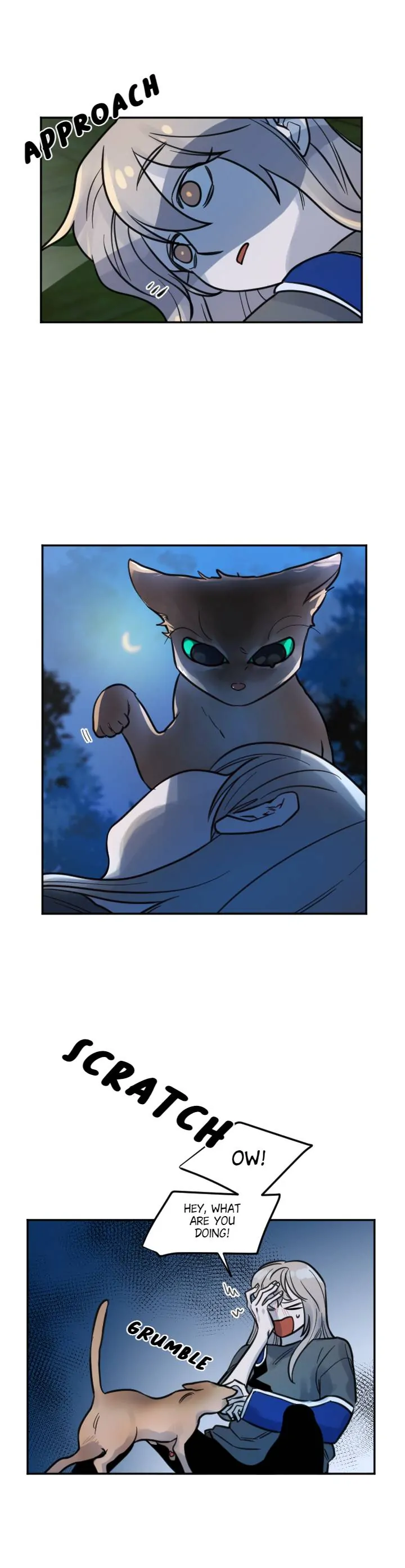 School of Dogs Chapter 70 - page 11