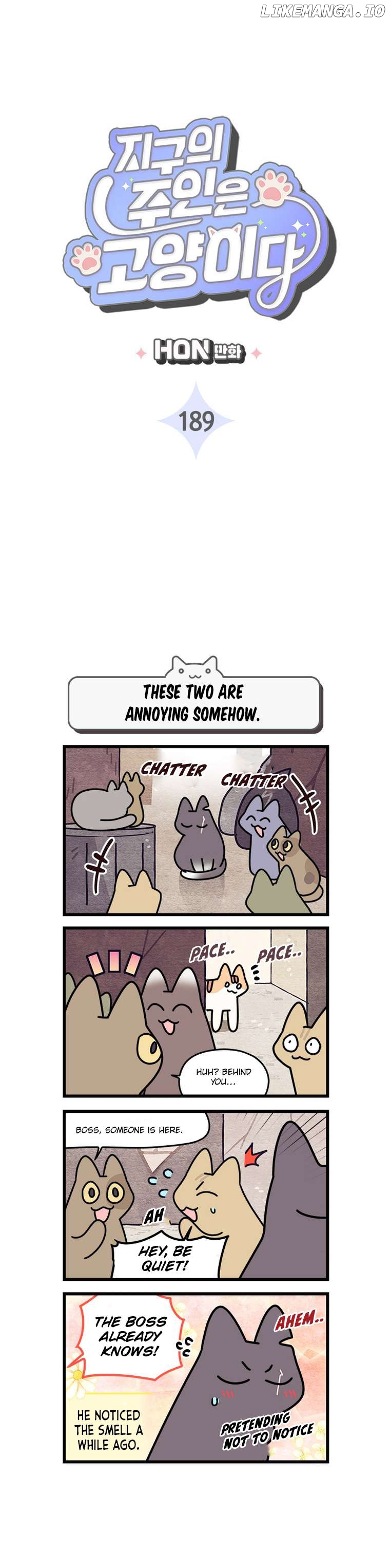Cats Own The World Chapter 189 - page 3