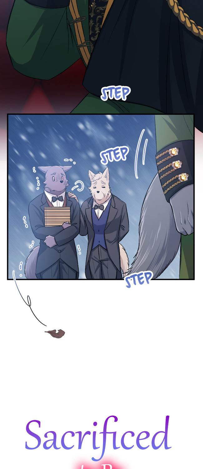 Sacrificed to Be the Beast King's Bride Chapter 16 - page 9