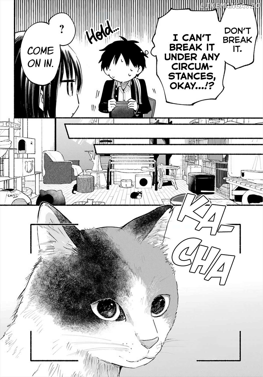 The Feline Neighbor and The Unversed Love Chapter 15 - page 10