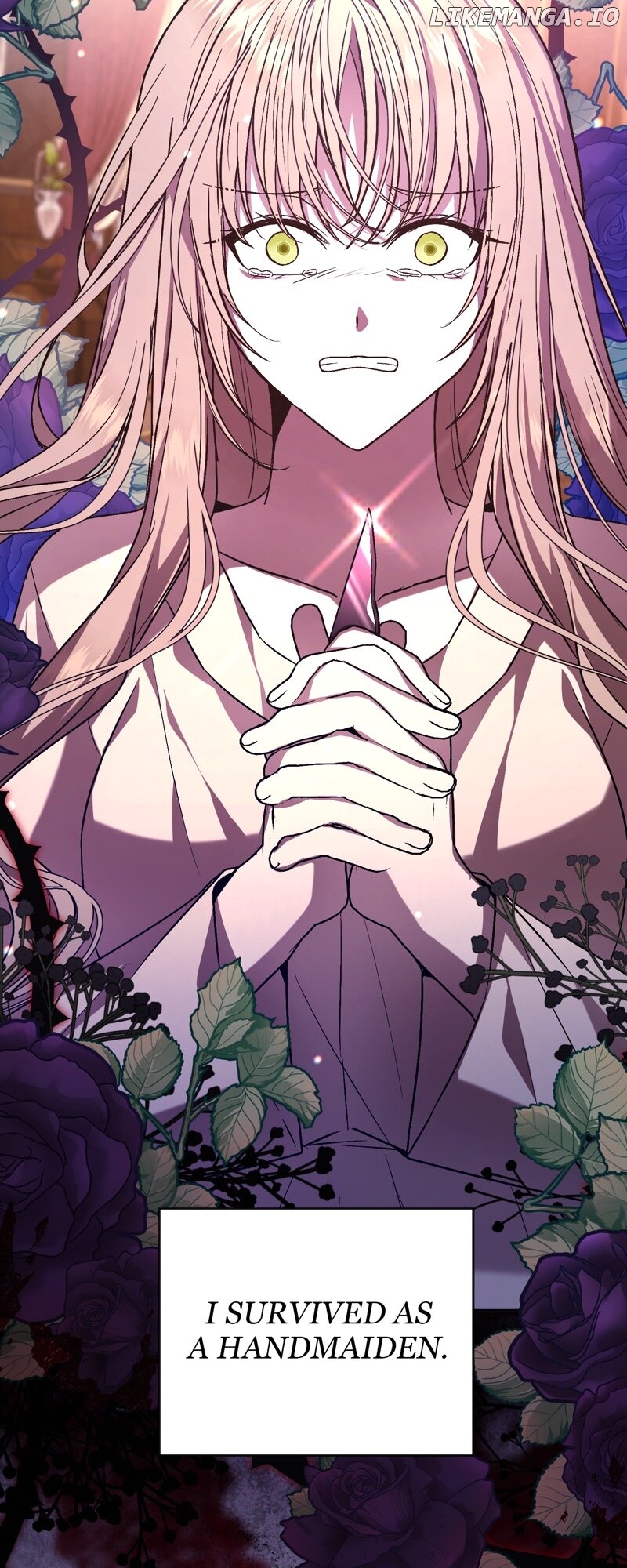 The Handmaiden Dreams at Sunset Chapter 34 - page 29