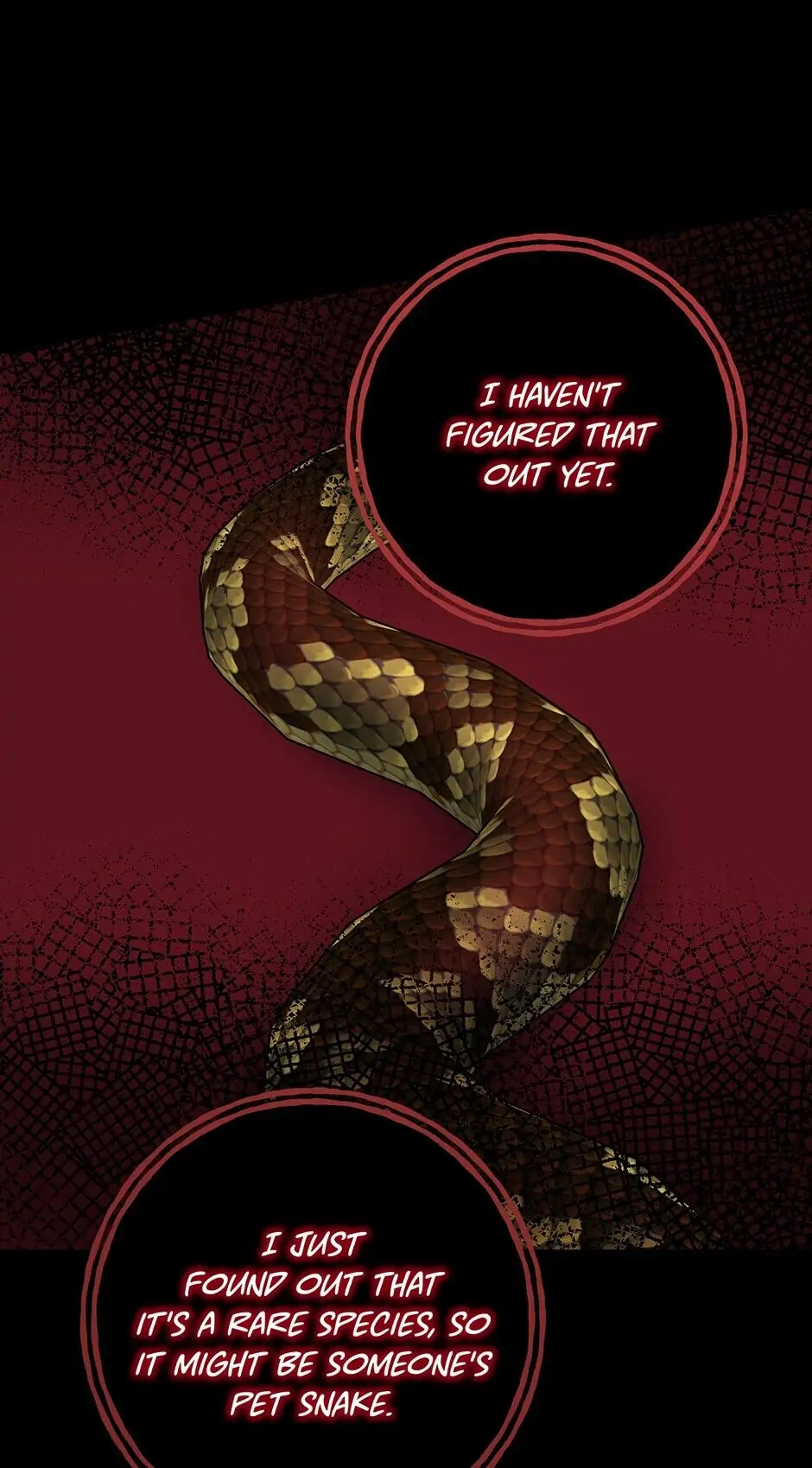 Contractual Marriage to a Surly Duke Chapter 19 - page 21