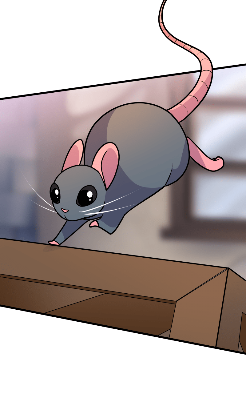 Mage and Mimic Chapter 26 - page 25