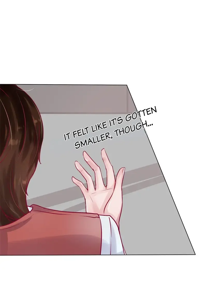 The Chairman Is in Love With Two of Me Chapter 21 - page 16