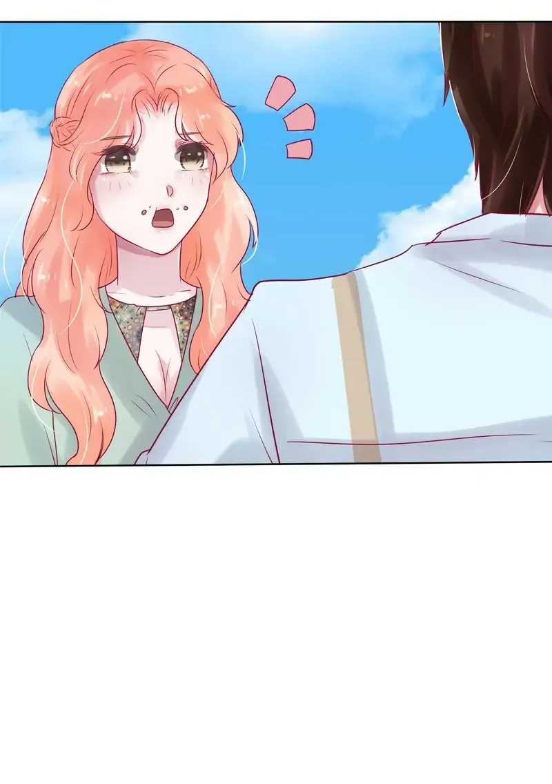 The Chairman Is in Love With Two of Me Chapter 22 - page 27