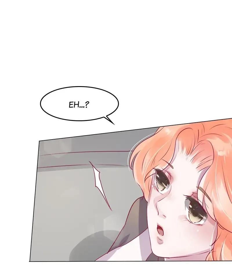 The Chairman Is in Love With Two of Me Chapter 23 - page 17