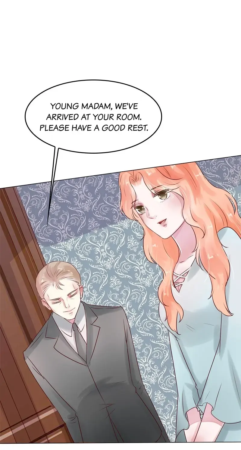 The Chairman Is in Love With Two of Me Chapter 24 - page 29